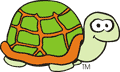 Tortuga Tortoise